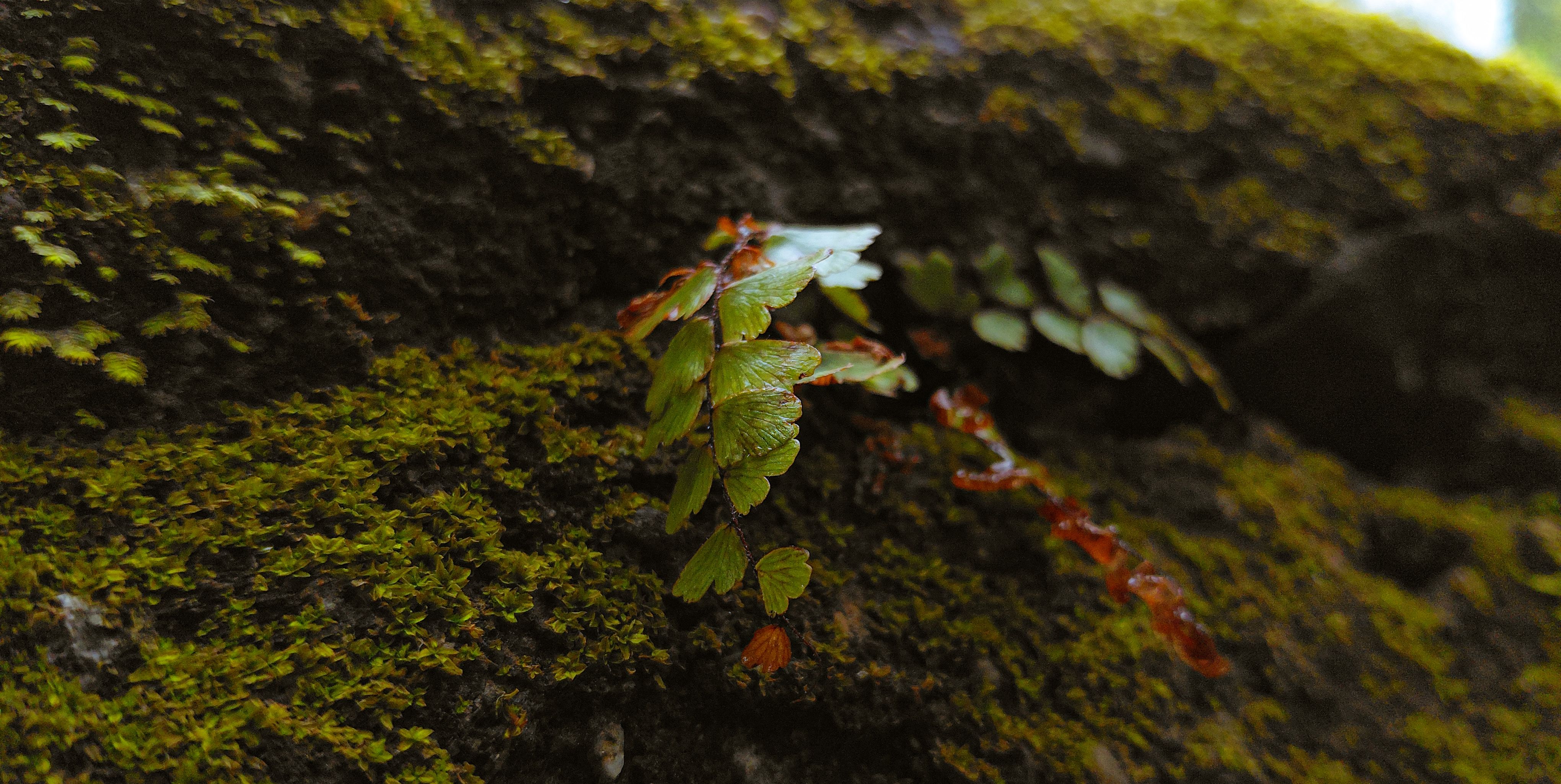 Unnoticed Details