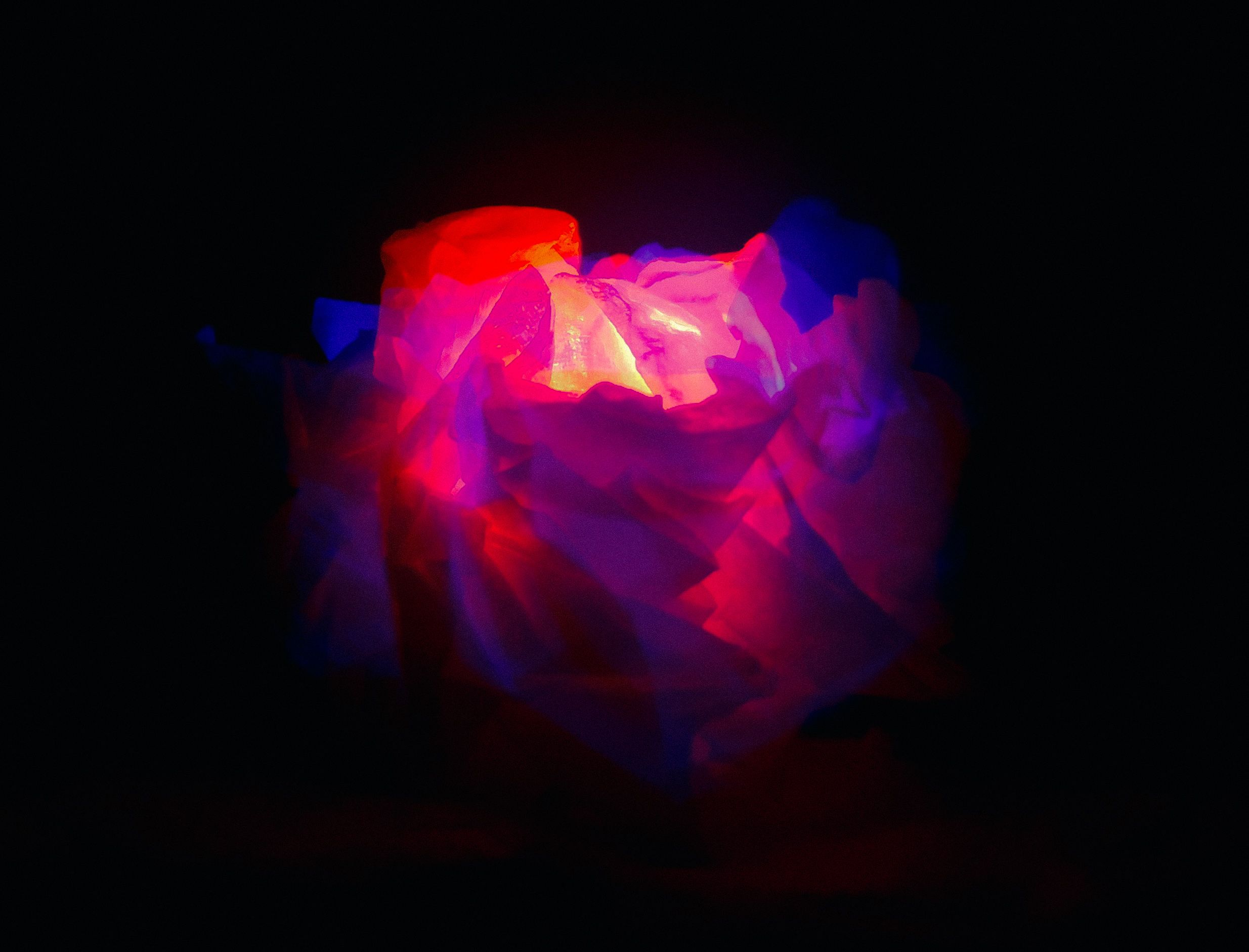 The Flames of a Flower