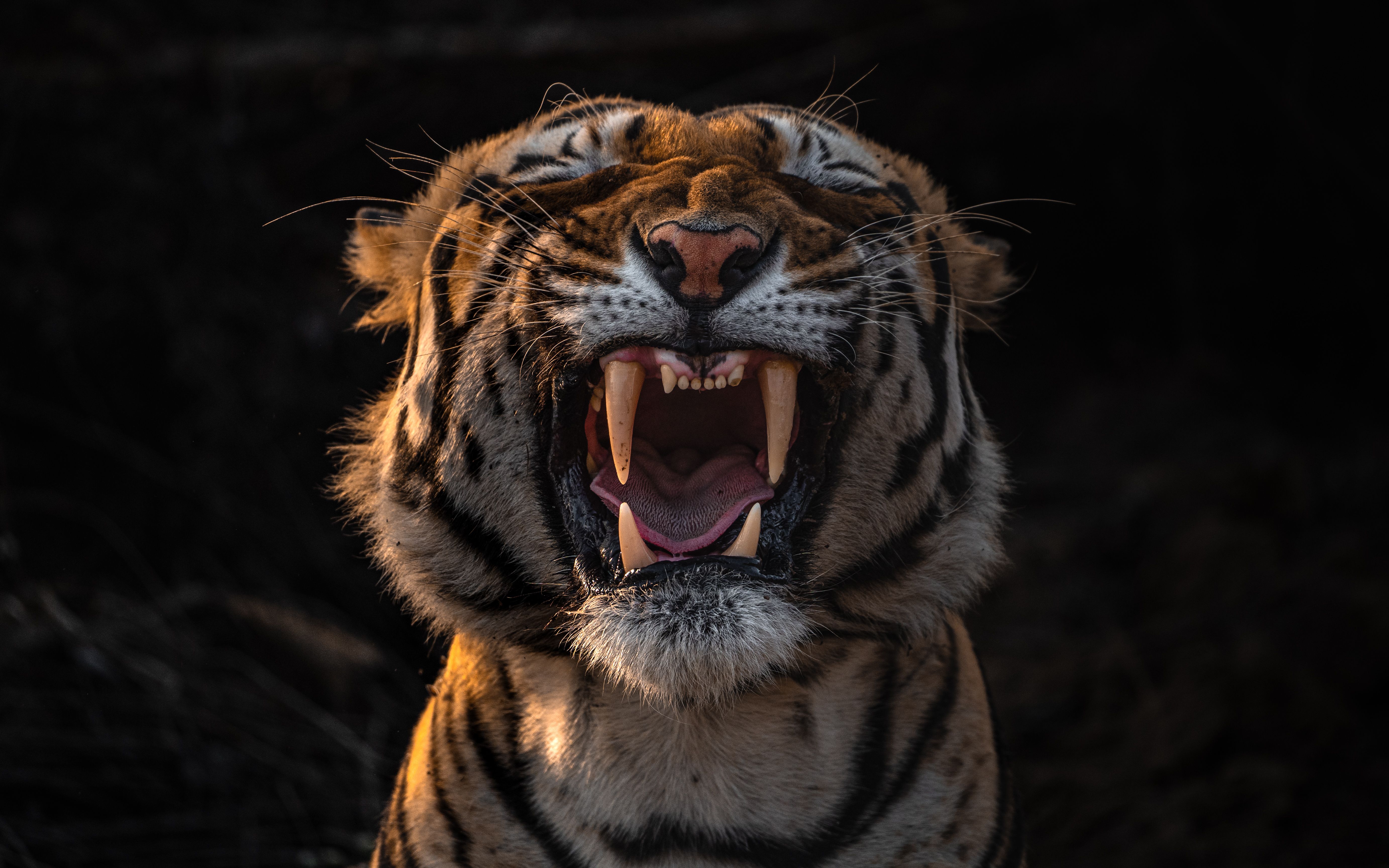 s-hyness and the smirk. by Arun Chandra Reddy